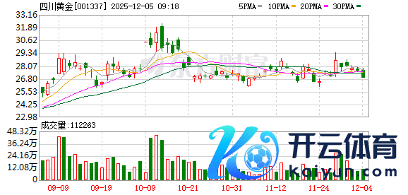 开云体育天下运行从好意思国单极主导转向多极并存-开云官网登录
